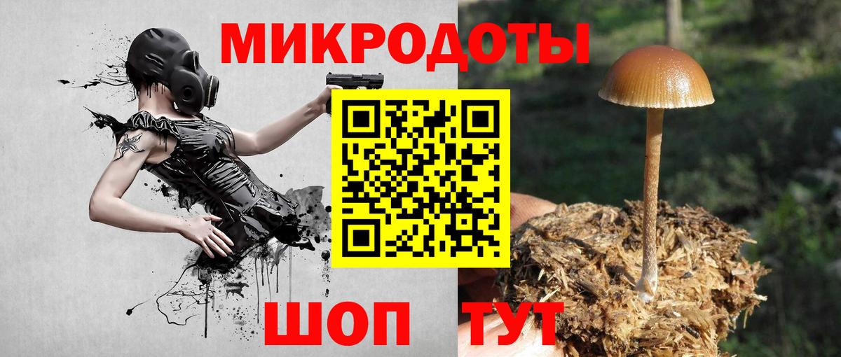 Галлюциногенные грибы мухоморы  даркнет сайт  Татарск  Вход с VPN 